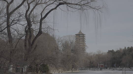 北京大学-博雅塔