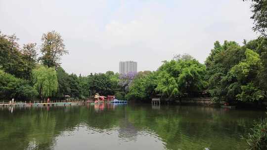 公园绣球花石榴花小桥流水白鹭成都武侯祠