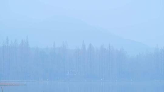 杭州雾西湖江南风景