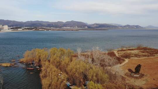 湖面航拍 海鸥