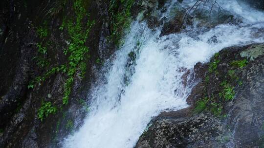 高清4K降水雨季山泉瀑布流水升格视频素材