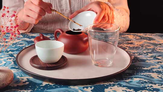 茶道茶艺女子冲泡茶喝茶过程