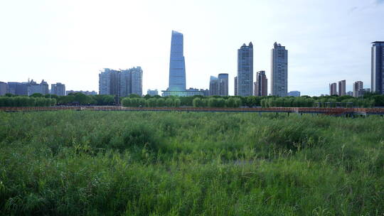 武汉江岸区汉口江滩风景