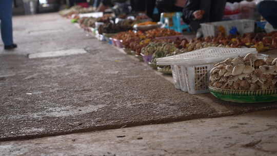 云南木水花野生菌交易市场