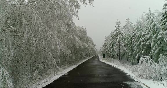 航拍森林冰雪