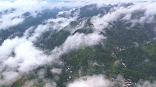 大雾清晨云雾大山云海森林自然云山脉山区