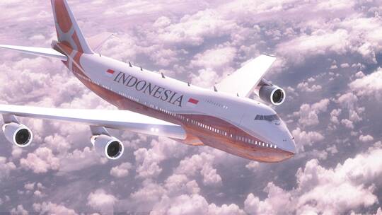 飞往印度尼西亚的航班