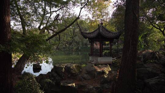 杭州西湖景区曲院风荷风景