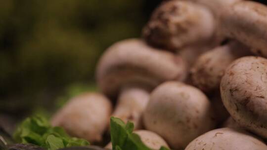 口蘑蘑菇白蘑菇鲜蘑