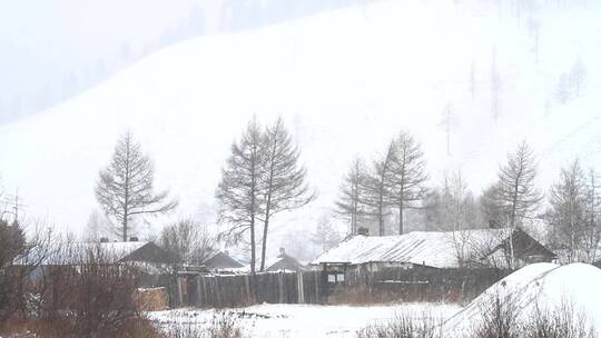 大兴安岭山里林业人家雪景视频素材模板下载