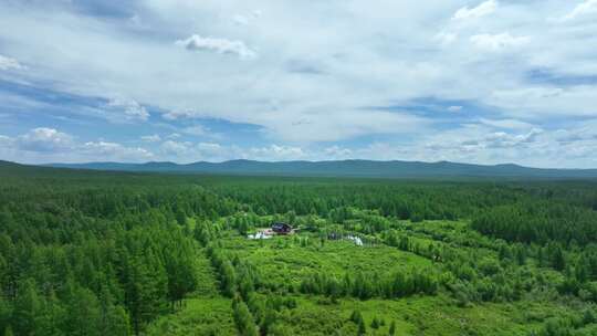 呼伦贝尔根河旅拍风光