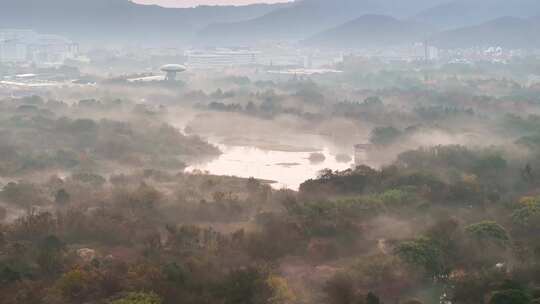 杭州秋天 西溪湿地 手摇船 湿地博物馆