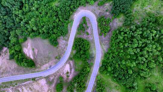 航拍森林盘山路