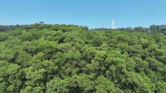 惠州市惠城红花湖景区航拍森林山川湖泊风景