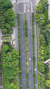 航拍衡阳生态公园城市建筑