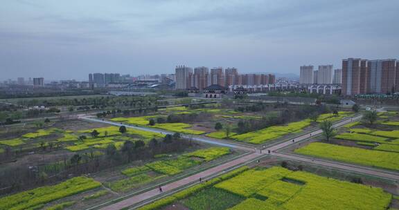 高清航拍城市边春天油菜花田野空镜