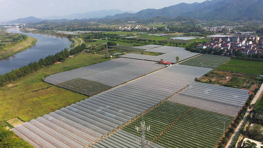 浙江金华生态农业大棚种植航拍 合集