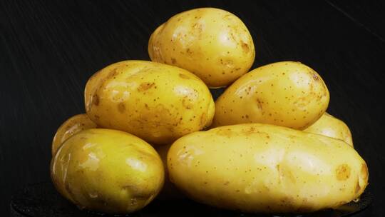 土豆  马铃薯  土地种植土豆