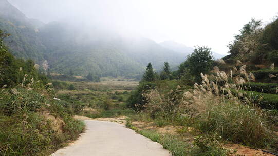 山区美景