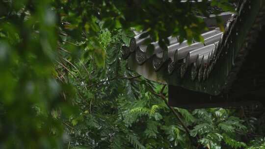 雨天古风建筑屋檐下雨水滴意境