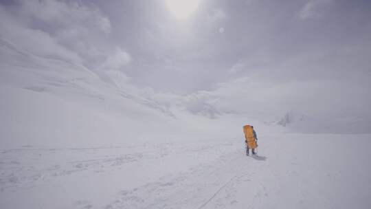 徒步旅行者，雪，徒步旅行，徒步旅行杆