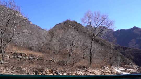 山间无叶树木与远山风景