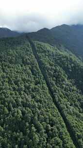 大理苍山洗马潭索道航拍风光