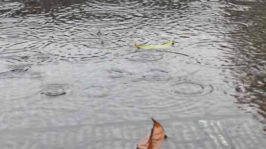 下雨雨滴