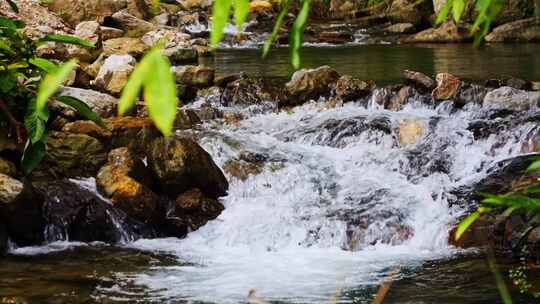 自然小溪流水山泉水花急流