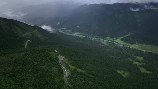 鲁朗田园风光观景台