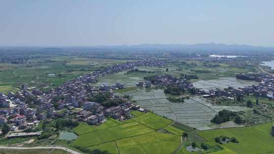 美丽乡村平原田园农田种植航拍