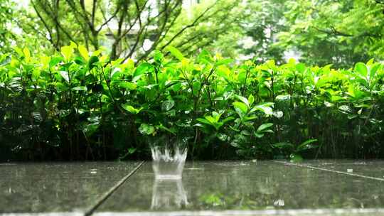 下雨升格慢镜头