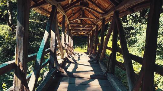 行走在旧木桥上