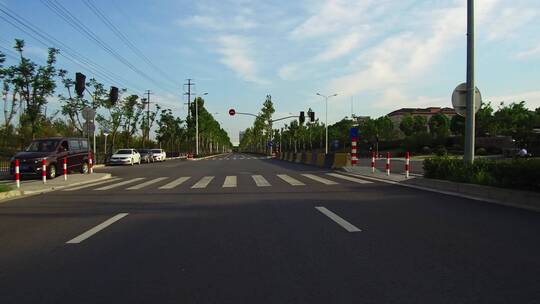 绿树成阴的道路