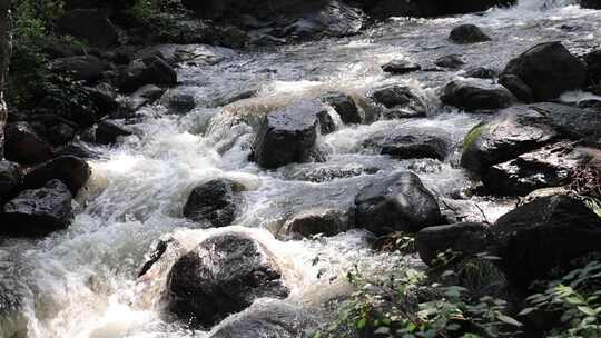 森林中 山泉小溪水