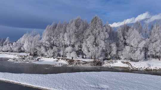 雪柳冰雪世界雾凇241104 (11)