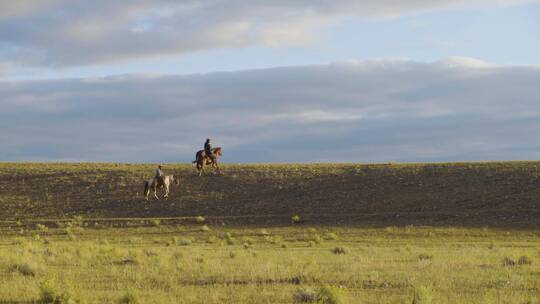 几个牧民在清晨骑着马在草原上奔腾