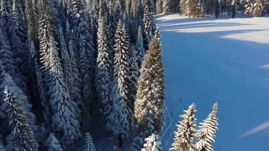 无人机航拍雪后森林壮丽景观