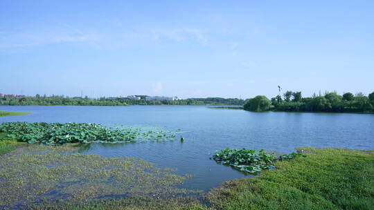 武汉东湖生态旅游风景区