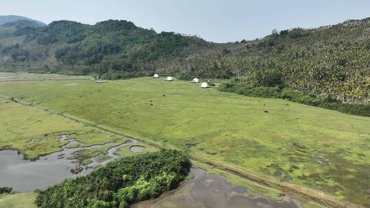 草地中分布白色圆顶建筑