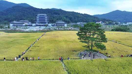 中国广东省广州市从化区广州国家版本馆