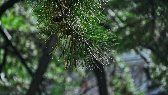 中国风寺庙古建筑下雨雨滴慢镜头