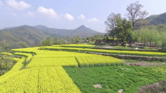 衢州市衢江区东平村