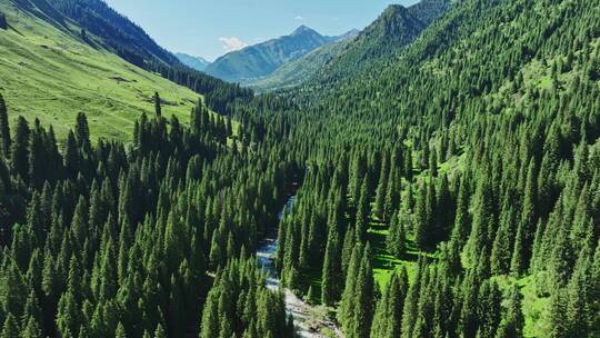 自然风光森林山川航拍视频素材模板下载