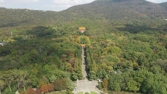 航拍南京钟山景区