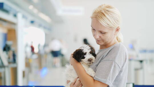 机场里抱着小狗的女人