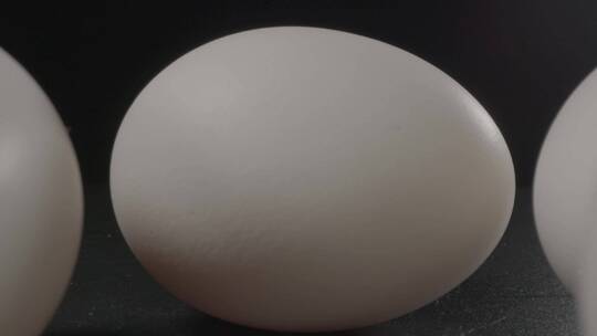 白皮鸡蛋LOG素材