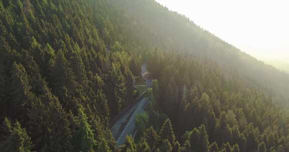 日出时森林中道路的空中俯视图