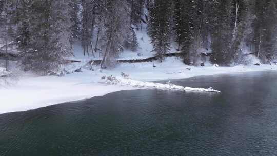 冬季喀纳斯晨雾雪蘑菇雾凇冰河野鸭雪山森林