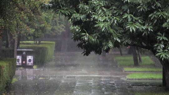 秋季下雨中岱庙古迹古建筑屋檐滴水雨中景色